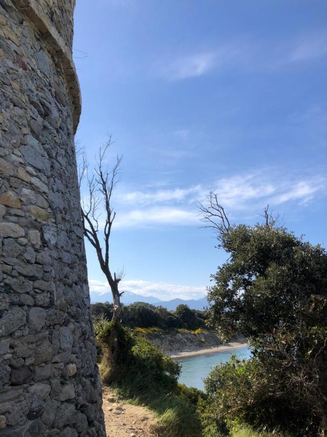 Mare E Monti Aleria (Corsica)